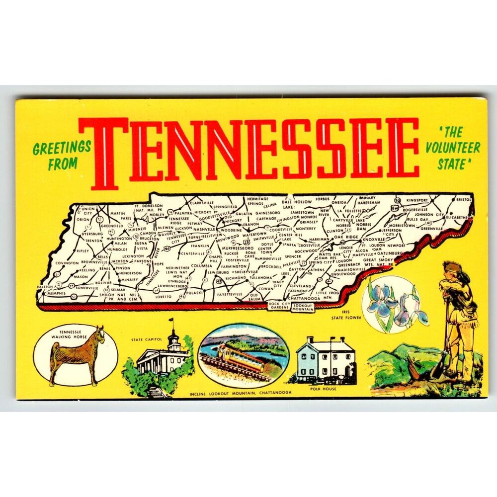 Postcard Greetings From Tennessee Map Chrome State Walking Horse Iris Flower
